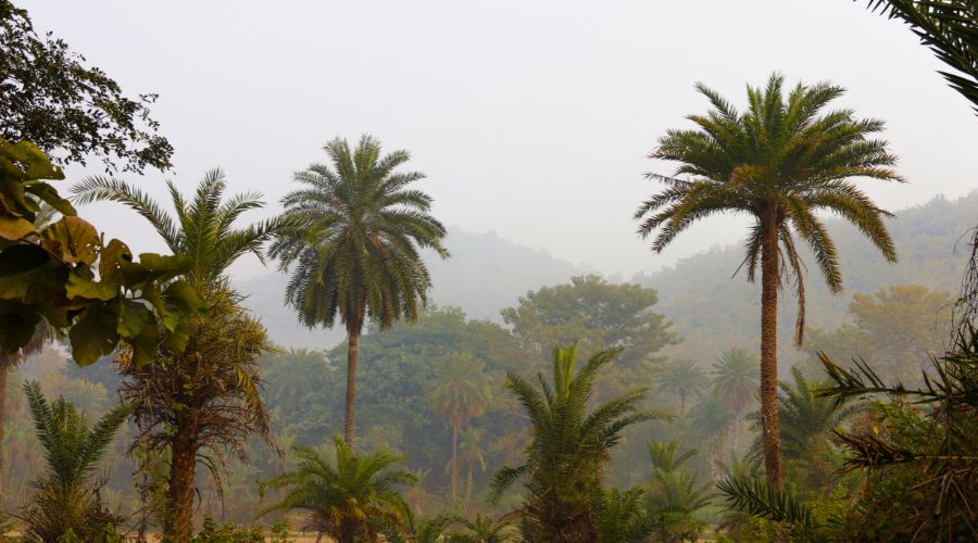 Experience: Wet and Dry Seasons